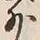 文字 外