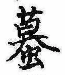 已定位蟇