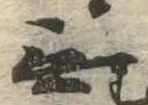 Đã định vị 無