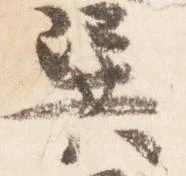 Đã định vị 巽