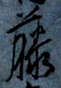 “藤”字