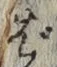 「ば」字