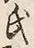 𡨸氏