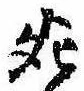 Đã định vị 死