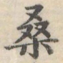 桑の位置