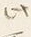 文字 此