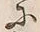 「良」字