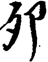 位置 確認된 卯