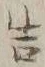 Character 造