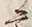 文字節