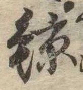 已定位鯨