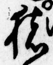 已定位猪