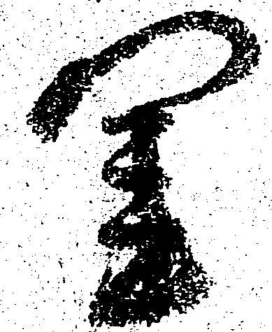 位置 確認된 閨