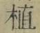 文字 植