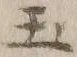 Character 玉