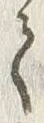 「今」字