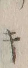 「公」字