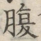 字腹