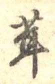 位置定マレル茸