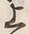 “白”字
