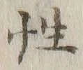 Chữ 性