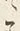 「昼」字