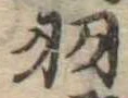已定位羽