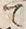 文字 肌
