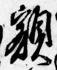 已定位額