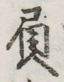 Đã định vị 屓