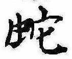 位置 確認된 蛇