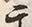 Character 干