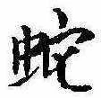 位置 確認된 蛇