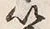 “以”字