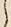 字能