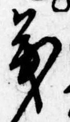已定位茂