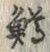 字鱒