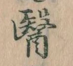 位置定マレル医