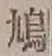 Character 鳩