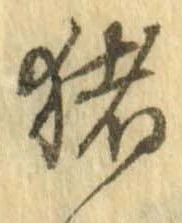 已定位猪