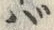 字バ