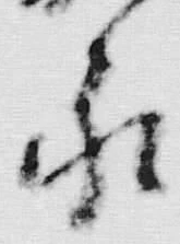 文字加
