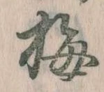 已定位梅