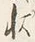 字状