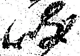 岐，已得其位