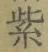 文字紫