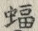 𡨸蝠