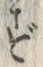 文字 ず