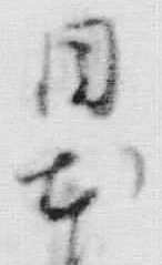 Character 同