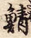 已定位鯖